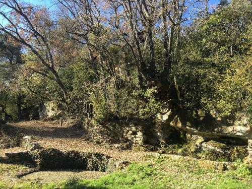 Agroturismo El Rinc�n De Ar�n