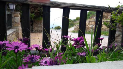 Apartamento Althea Archontika Tis Androu