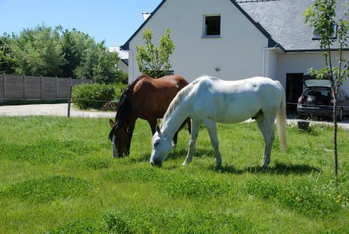 Cottage Maison Drogou O Bien-�tre Massage