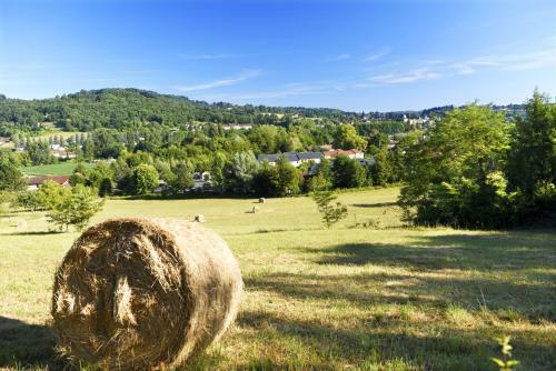 R�sidence Odalys Le Hameau Du Moulin