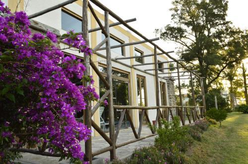 Alquimia Spa Y Posada