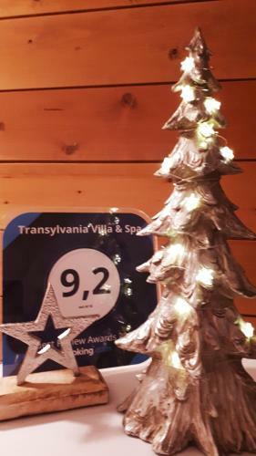 Apartamento Transylvania Villa & Spa