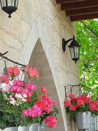 Hostal Magdalous House