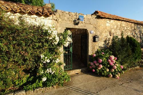 Hostal Villa Violi?