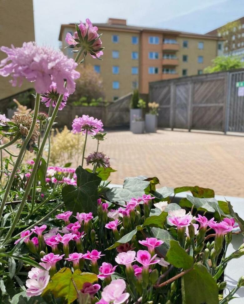 G�teborg Hostel