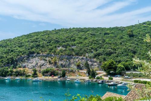 Apartamentos Villa Ivanka