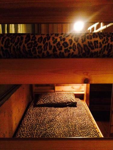 Albergue 33 Backpacker