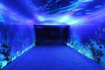 Hotel Clownfish Resort