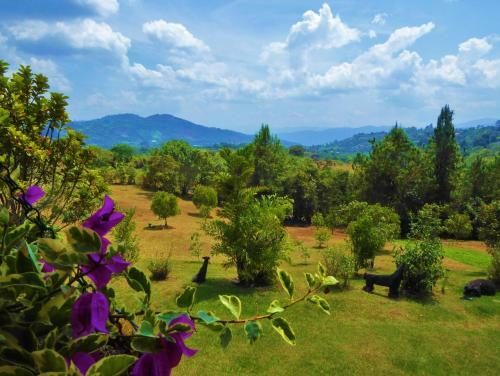 Hotel Finca El Cielo