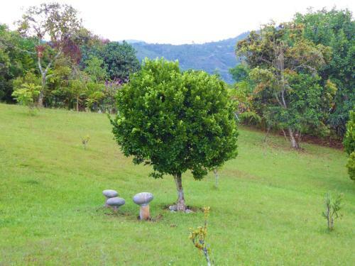 Hotel Finca El Cielo