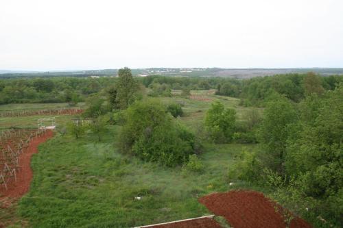 Apartments Planinich