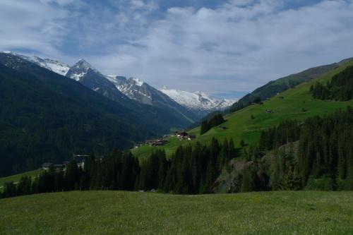 Martlerhof