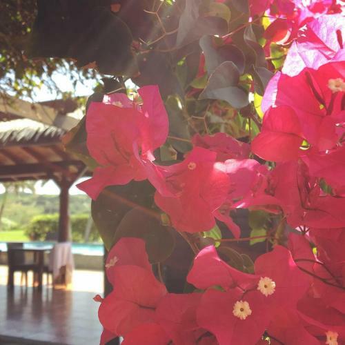 Bed & Breakfast Summerland Garden Resort