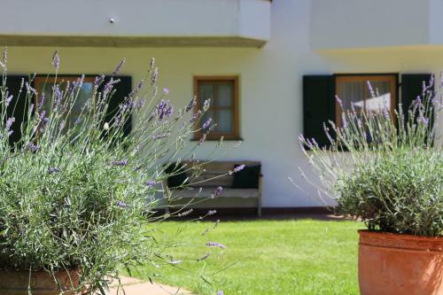 Hostal Villa Ortensia