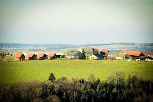Ranch Des Bisons