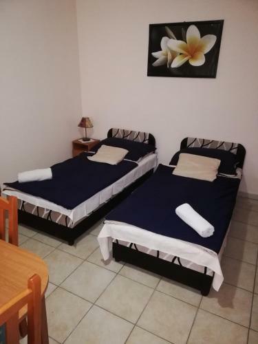 Hostal R�k�czi Panzi�