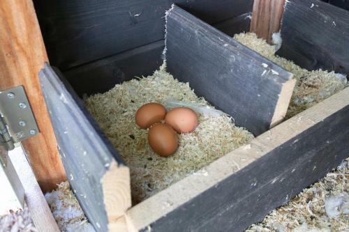 Agroturismo Koepel Enschede