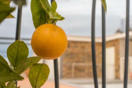 Hotel H�tel Le Monesti�