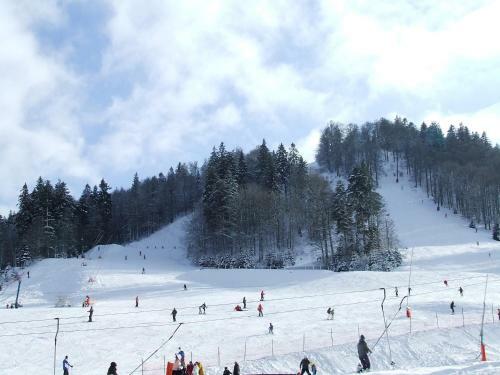 Hotel Auberge Des Hauts Viaux