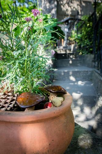 Apartm�ny Friday