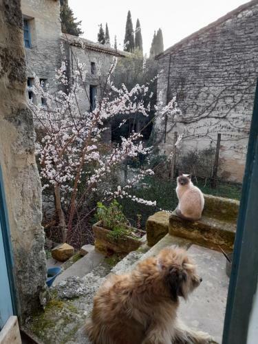 Bed & Breakfast Le Mas Du Lac