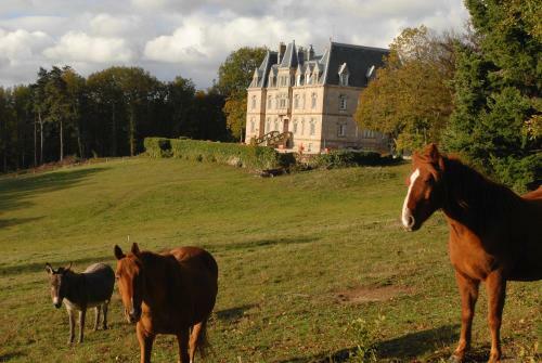Hostal Ch�teau Des Faugs