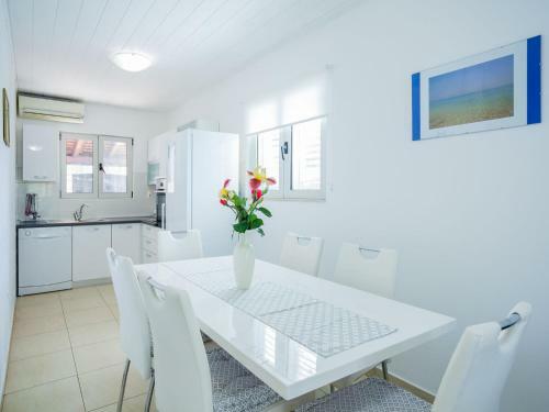 Villa Vela Luka 3