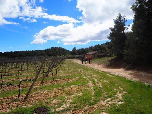 Agroturismo Casa Rural Ca La Fineta