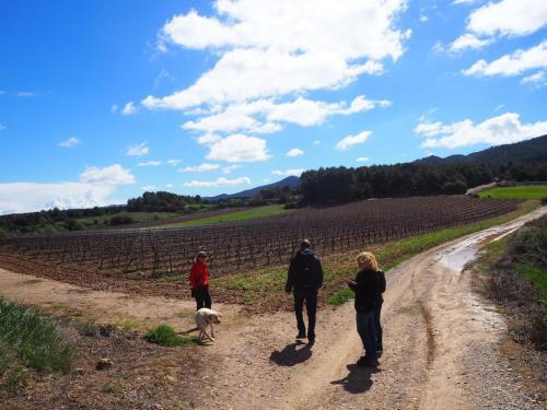 Agroturismo Casa Rural Ca La Fineta