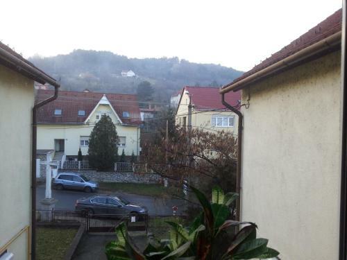 Bed & Breakfast Szam�rk�t Panzi�