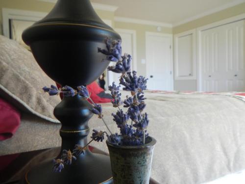 Bed & Breakfast Blue Iris B And B