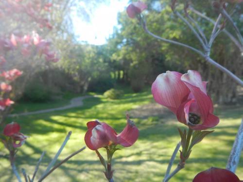 Bed & Breakfast Blue Iris B And B