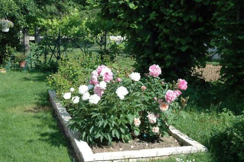 Bed & Breakfast Le Jardin De Roses Dominique Loreau