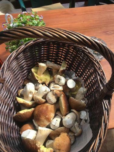 Hostal H�jenka Hrab?te Buquoye