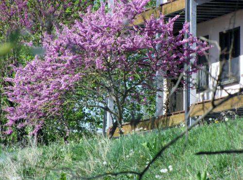 Hotel Ranch Le Caballin