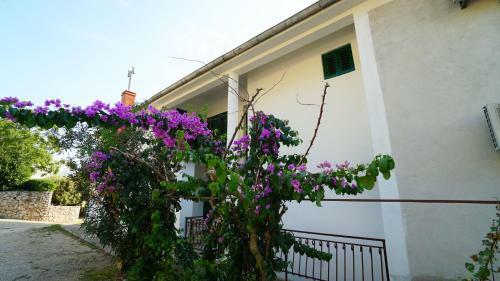 Apartments Ive
