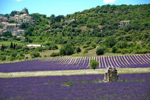 Bed & Breakfast Le Domaine Saint Jean