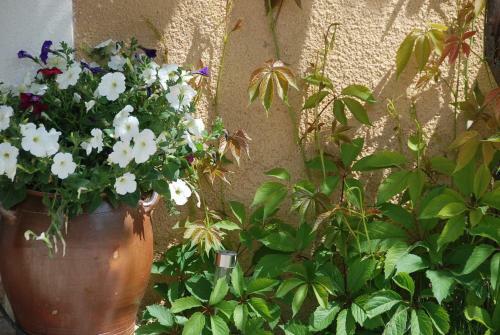 Bed & Breakfast Le Domaine Saint Jean