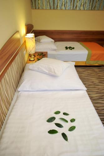 Park Hotel Gyula