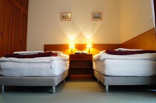 Hotel Ovit