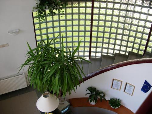 Hotel Ovit