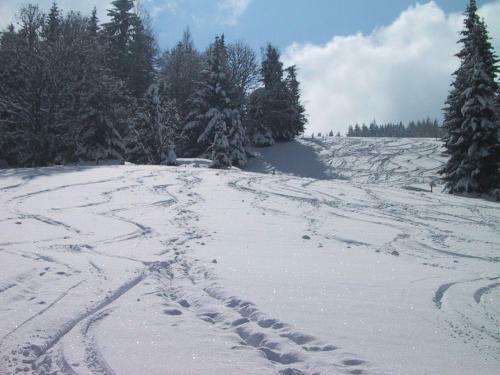 Hotel Schr�ckerhof