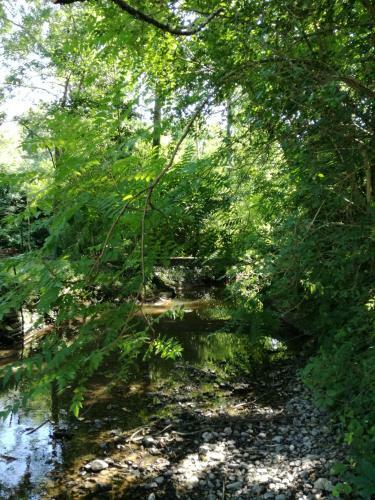 Bed & Breakfast Le Moulin Du Galant