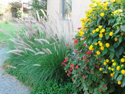 Hostal Le Jardin Des Epices