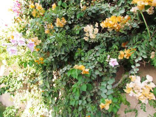 Hostal Le Jardin Des Epices