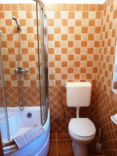 Hostal Karpatia Panzio