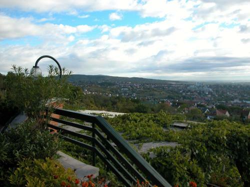 Hotel Bagolyv�r Inn