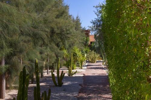 Bed & Breakfast Manzil La Tortue