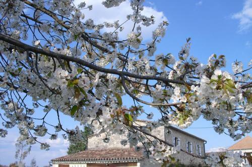 Luxury Bed And Breakfast "maison � Votre Sant�"