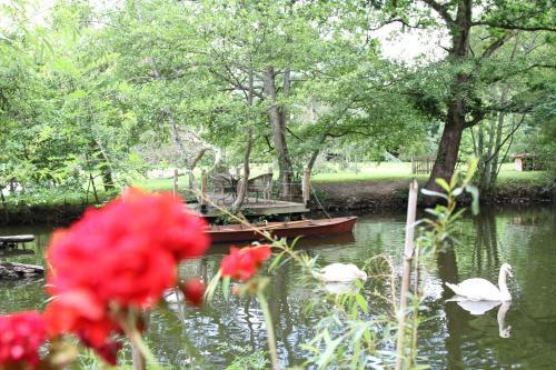 Bed & Breakfast Ch�teau Du Bois De La Noe